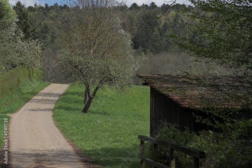 der weg ist das ziel