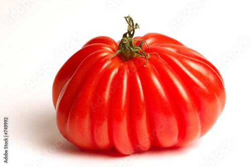 tomate coeur de boeuf 2