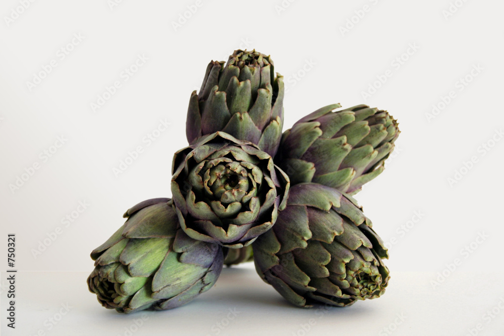Obraz premium artichauts