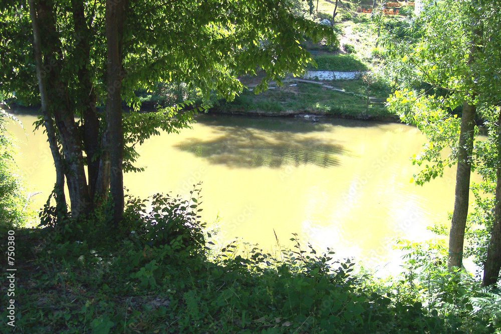 Obraz premium trees by lake