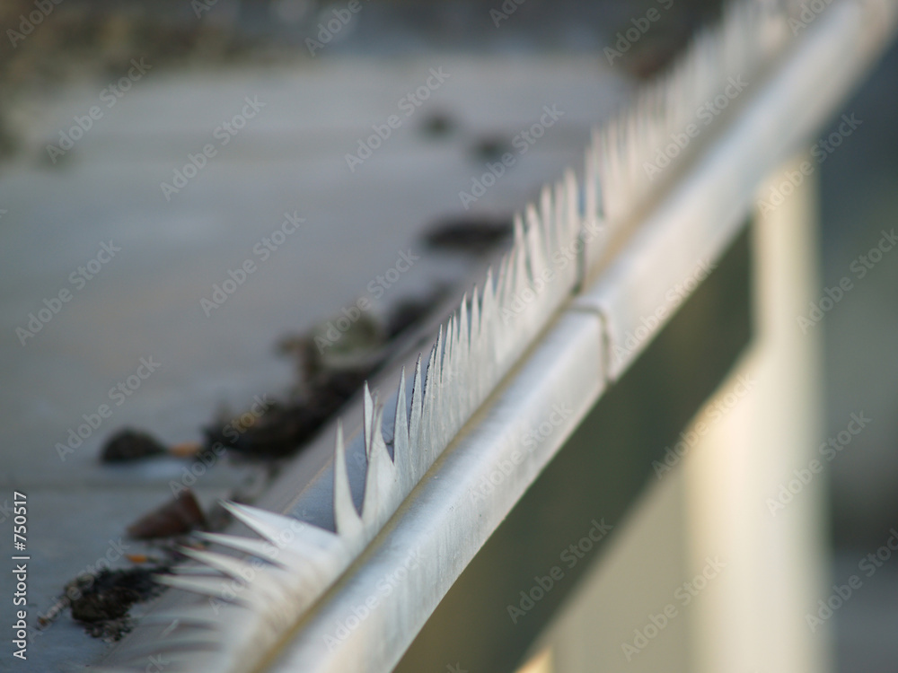 Foto gutter