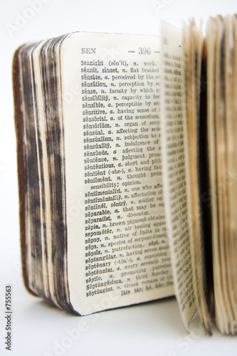 old dictionary series photo