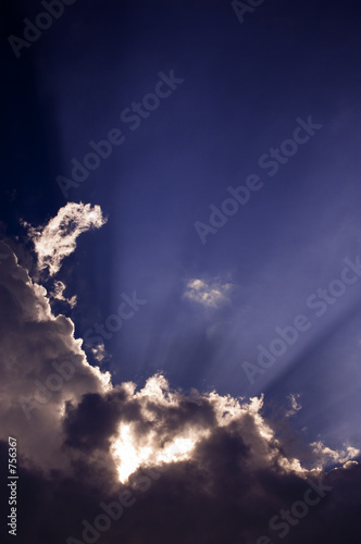 sunbeams
