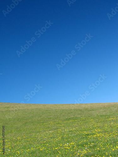 field