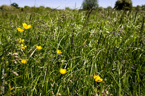 in the countryside