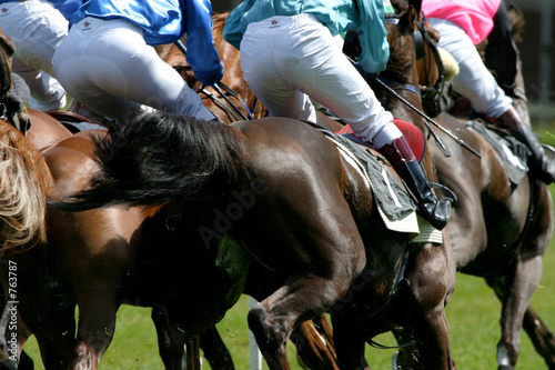 horse-racing