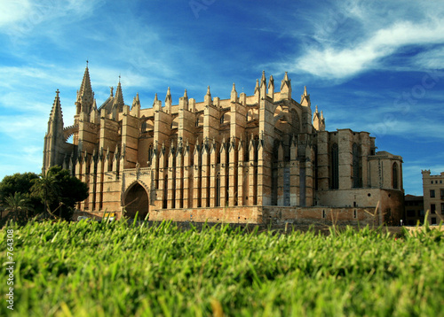 catedral palma de mallorca 2 photo