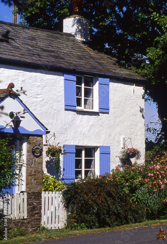 cottage with blue shutters photo