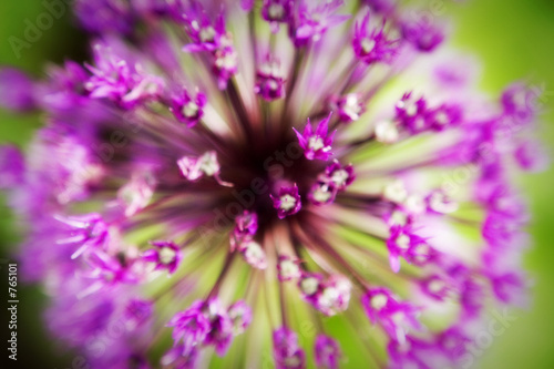 Obraz na płótnie funky flower