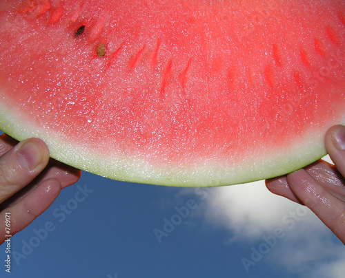 melon photo