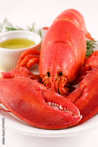 lobster with butter and dill photo