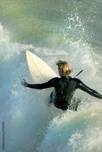 shredding the blue ii