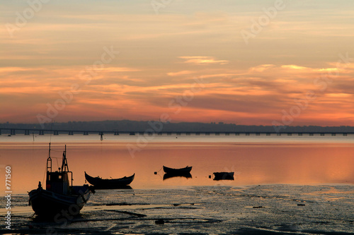 boats of fish at sunset