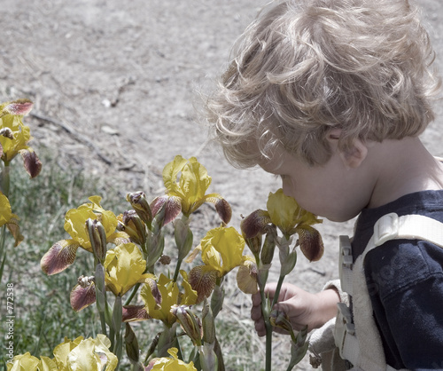 stop to smell the flowers