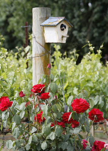 sonoma birdhouse