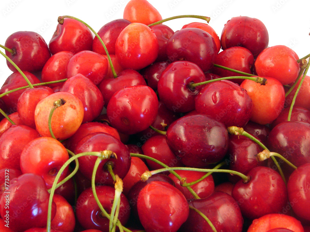 cherry closeup cherry closeup