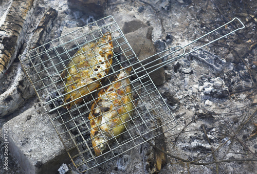 grilled bream