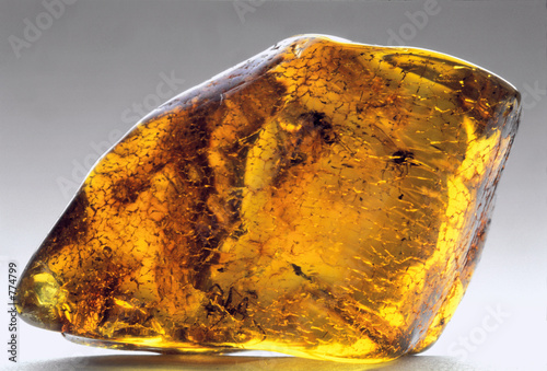 amber inkluzja-7