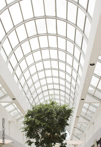 window arch