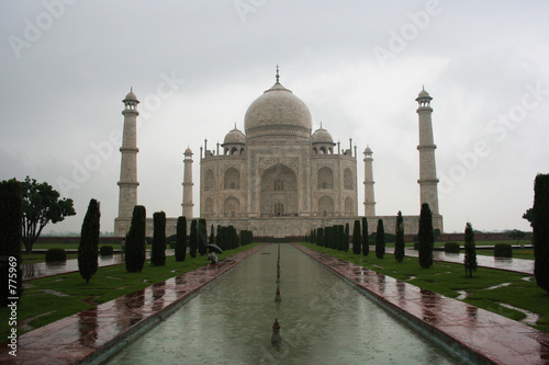 rainy taj