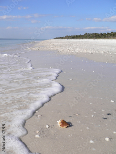 beautiful sandy beach in florida usa