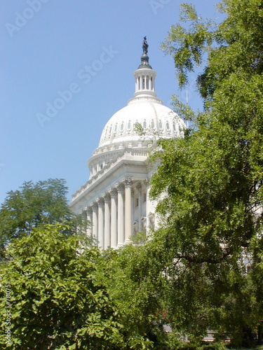 green and the capitol dome
