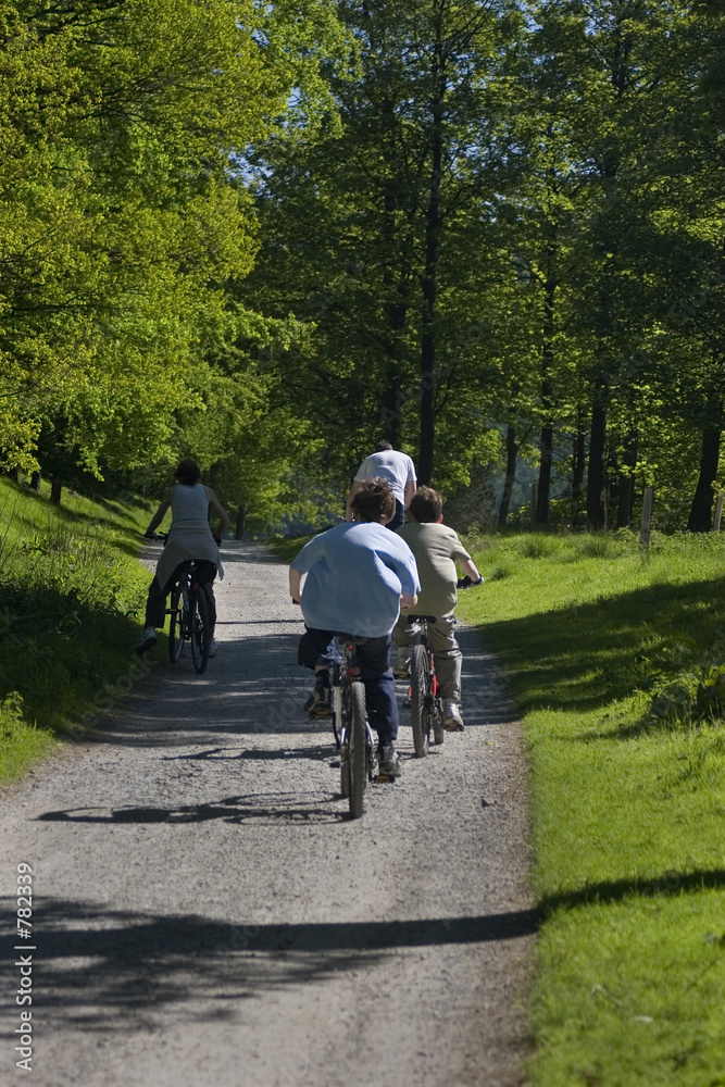 Obraz premium cycling in the country