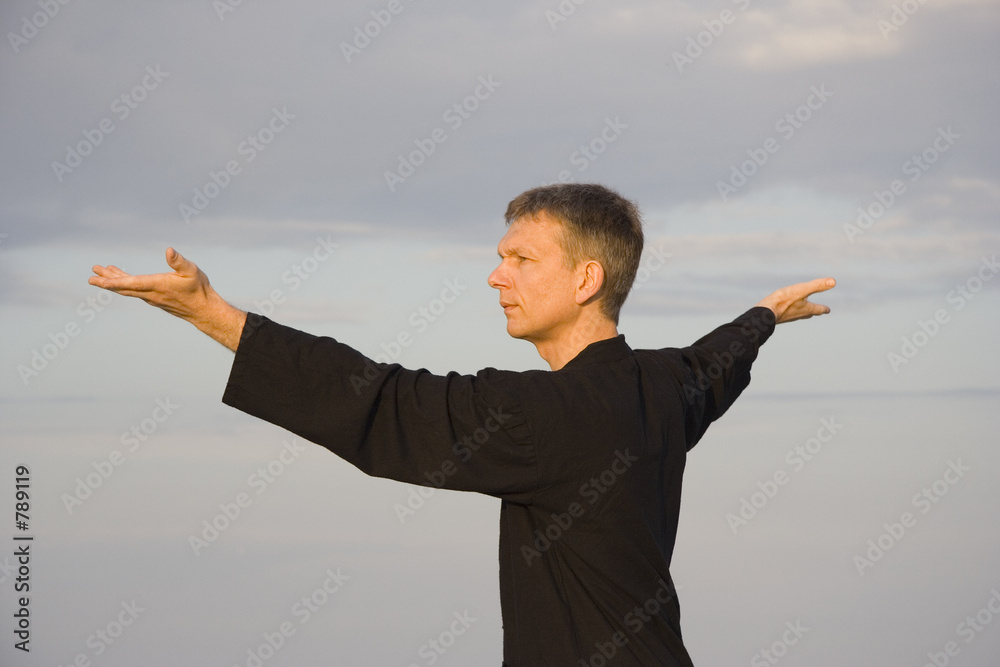 tai chi - posture step back dispatch monkey tai chi - posture step back dispatch monkey