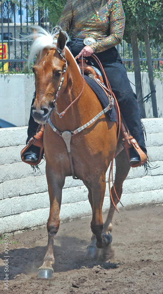 Obraz chodzący koń