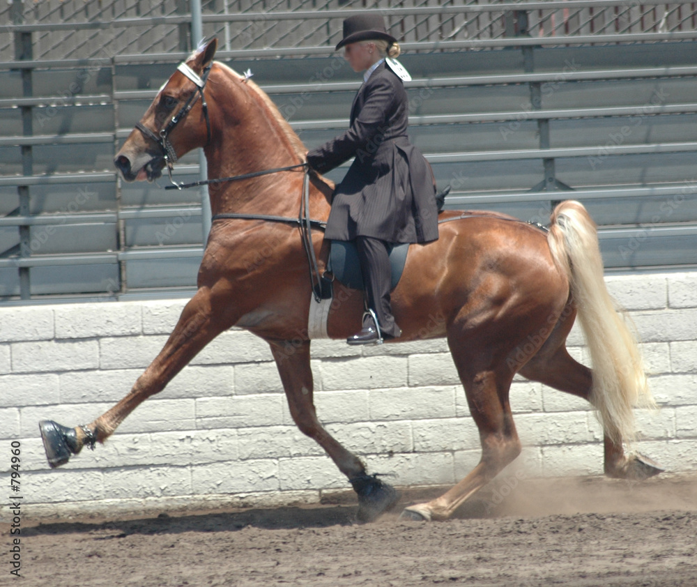 Fotografija walking horse