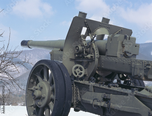 cannon