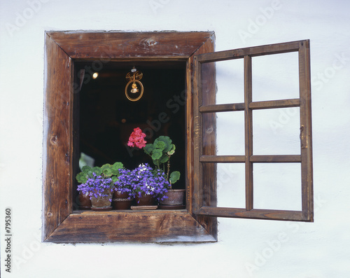 window