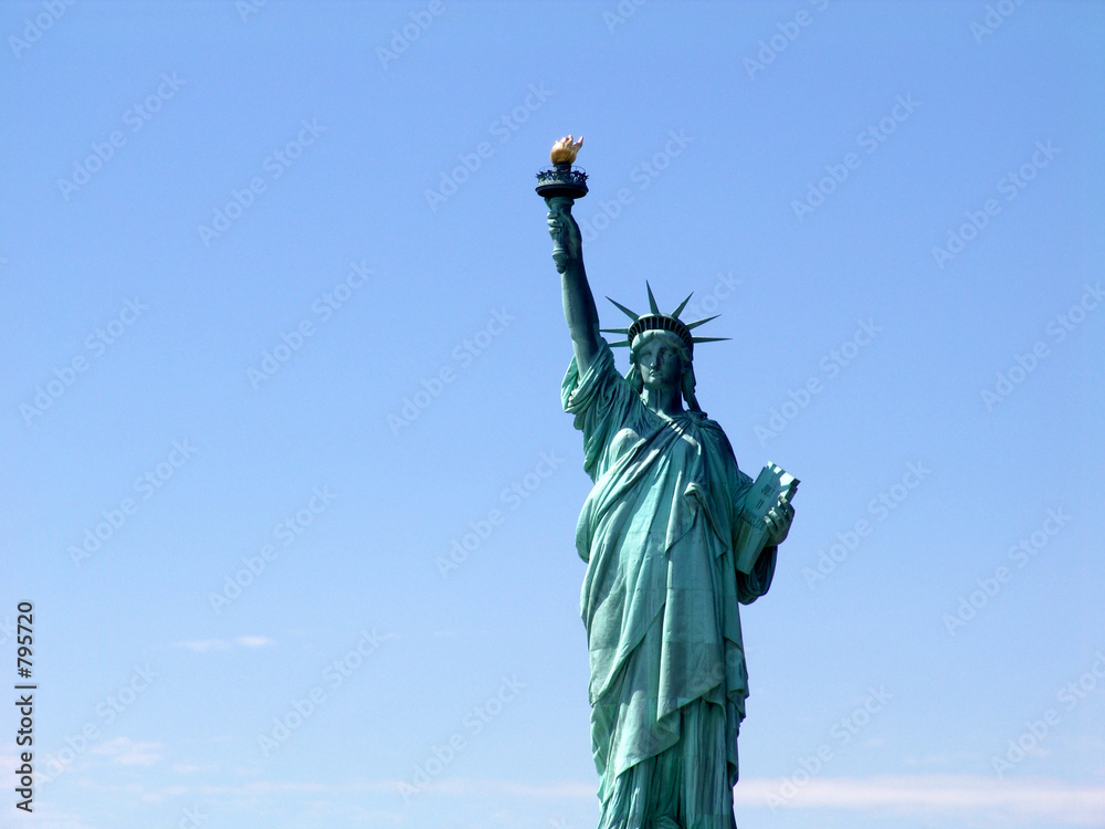 Fototapeta premium freiheitsstatue frontal