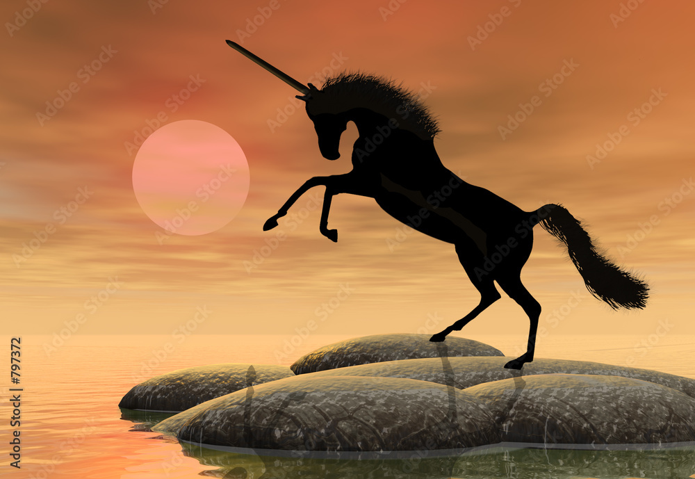 Photography unicorn