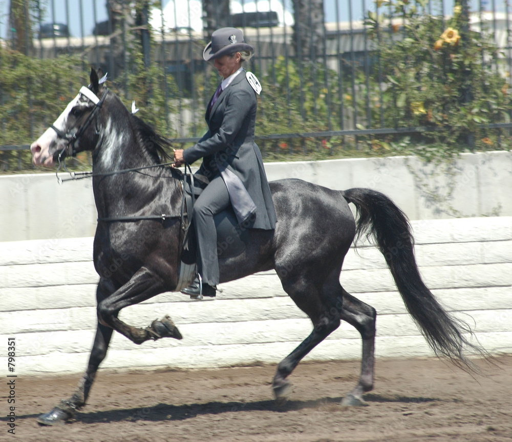 Foto walking horse