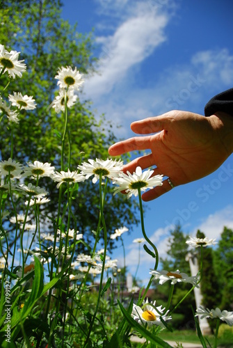 hand over nature