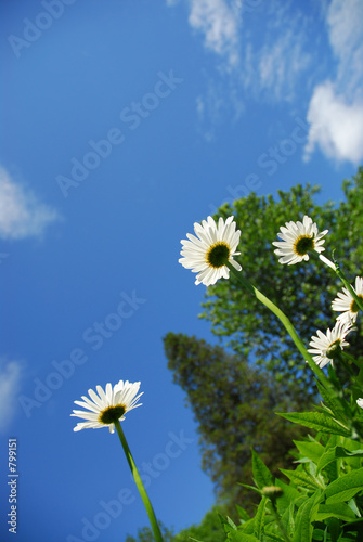 reach for the sky