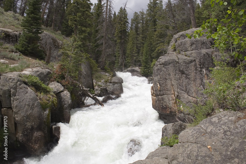 crazy creek - wyoming photo