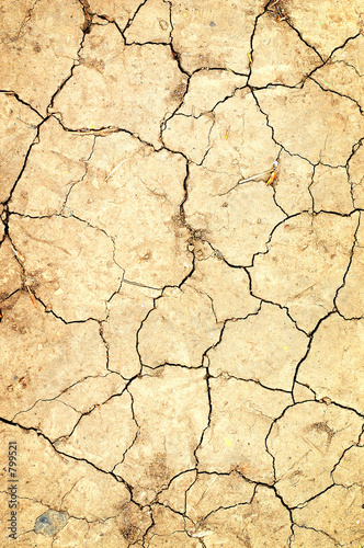 dry ground