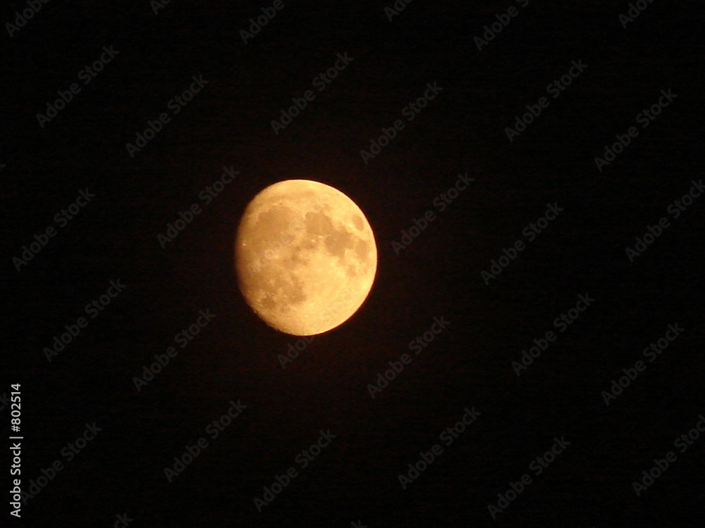moon moon