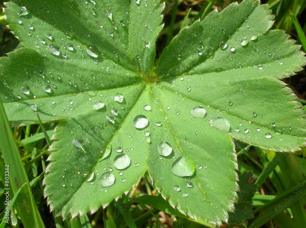 waterproof waterproof