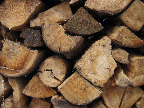 holz