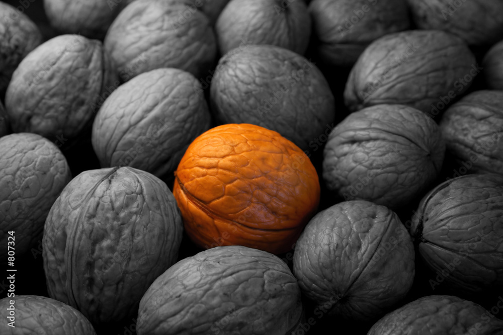 Фотография golden walnut