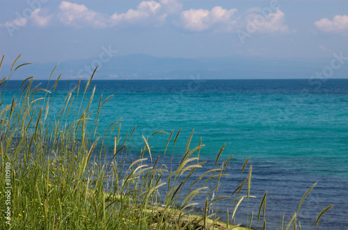 high grass and seascape