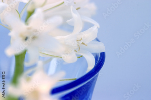 flowers in glass