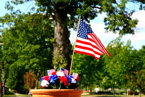 american patriotism - flag and tree