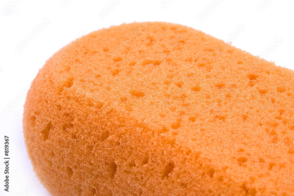 bath sponge bath sponge