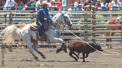 cowboy roping a calf
