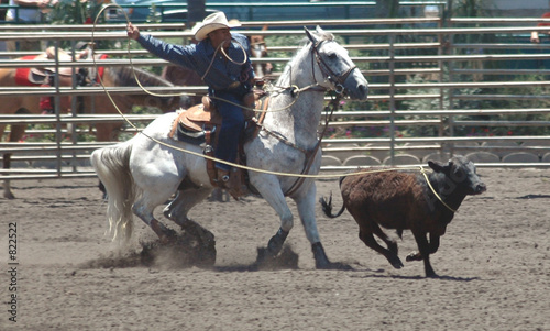 steer roping