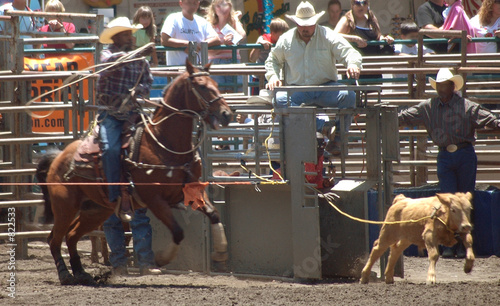 steer wrestlers photo